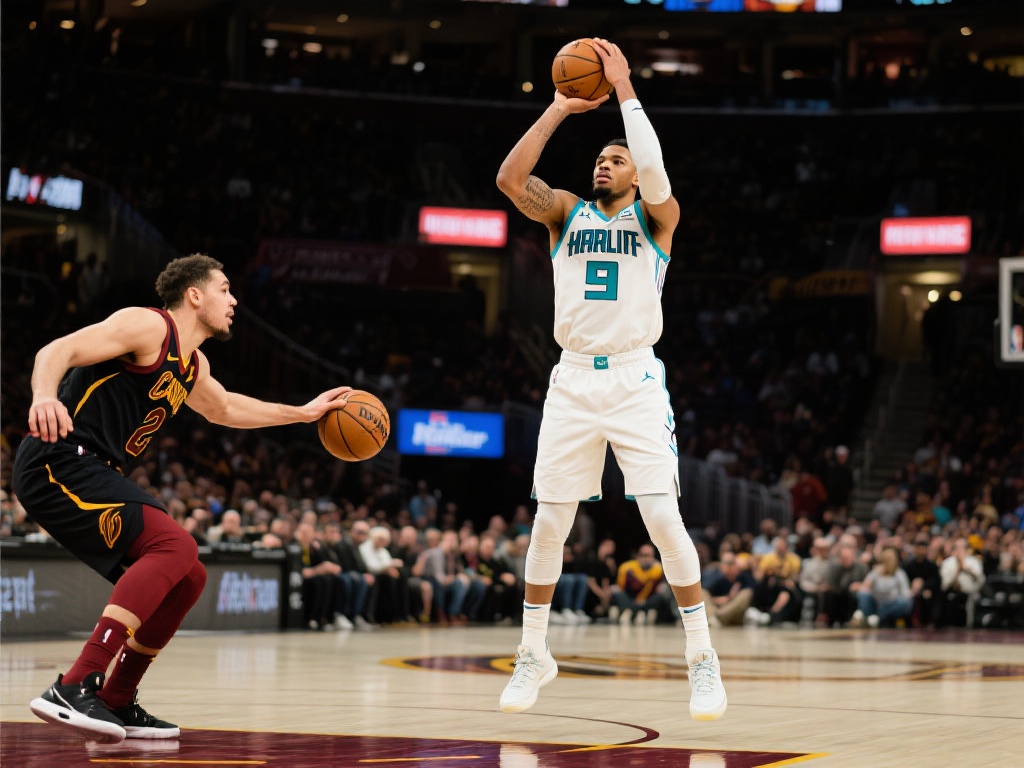 但在有限的 但在有限的